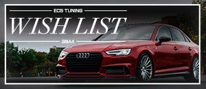 Make Your Wish List Come True! - Audi B9 A4 2.0T